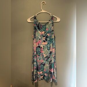 Lilly Pulitzer Kristen Swing Dress